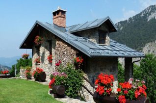 Nursing Home
